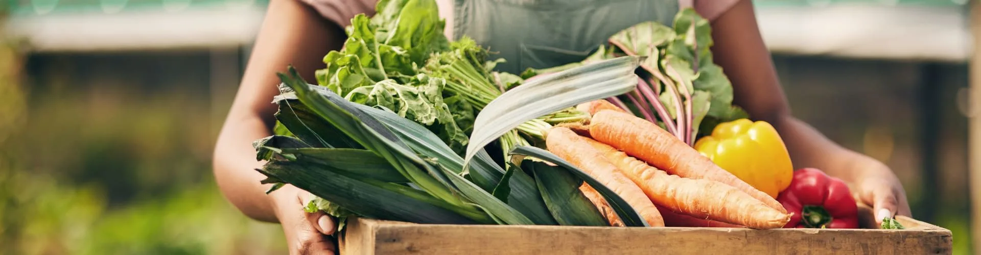 A crate filled with carrots, leeks, and peppers.